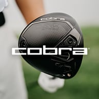 Cobra logo